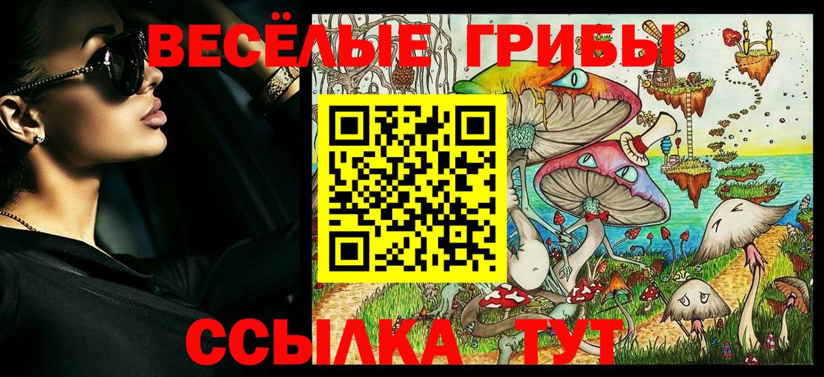 Псилоцибиновые грибы ЛСД Кузнецк