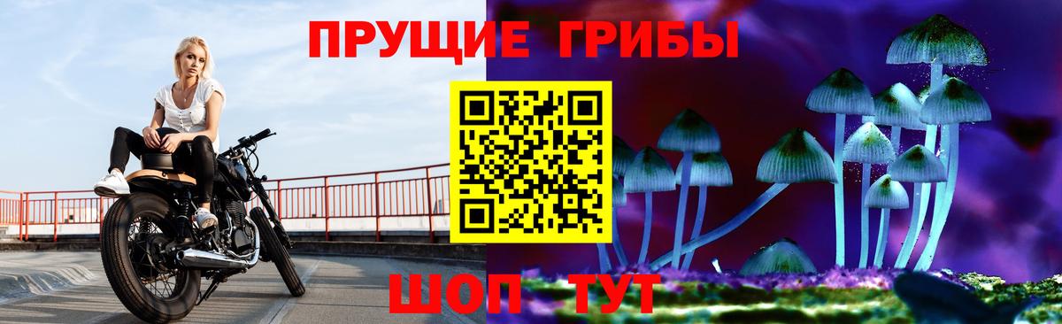 Галлюциногенные грибы мухоморы  Вход с VPN  Кузнецк 